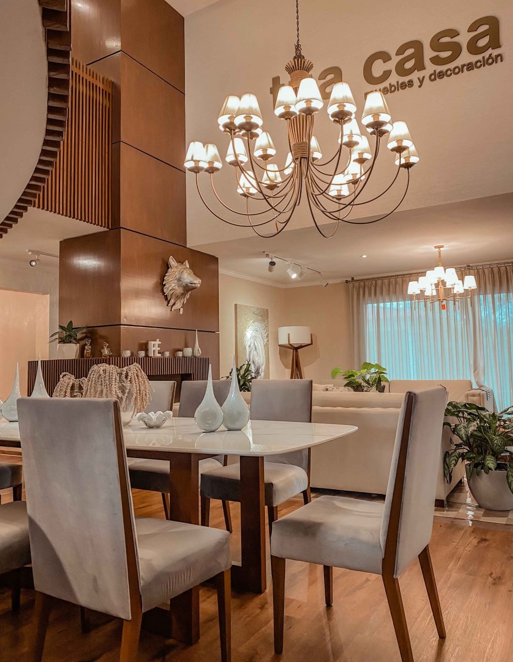 Juego De 8 Sillas Lisa