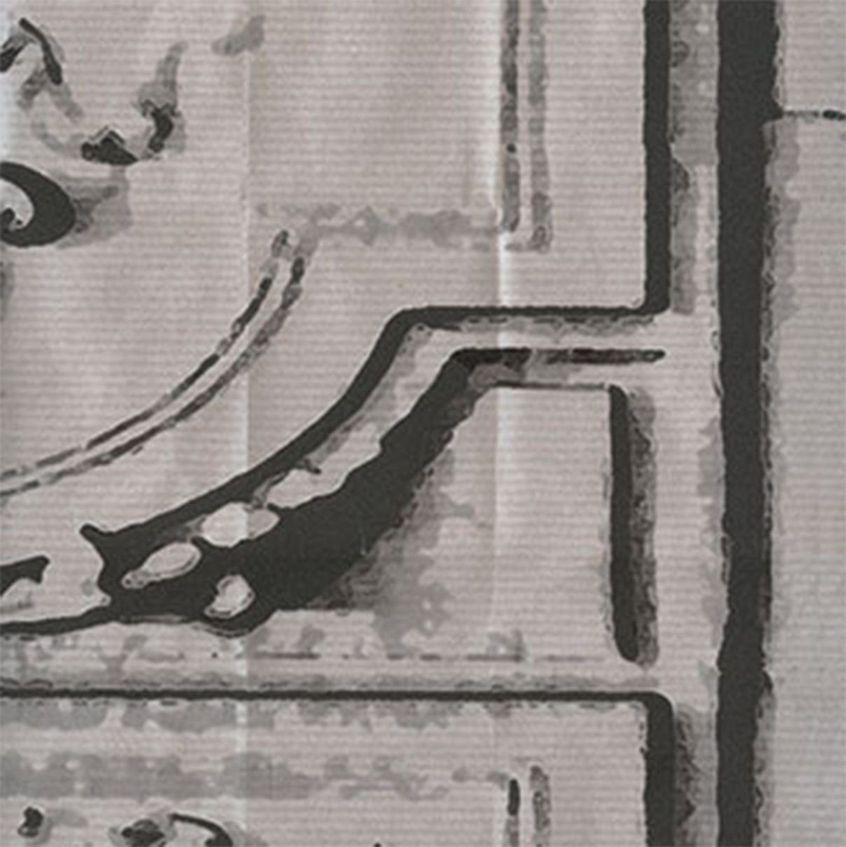 Papel De Pared Pleats La Belle Et La Bête TP 184 01