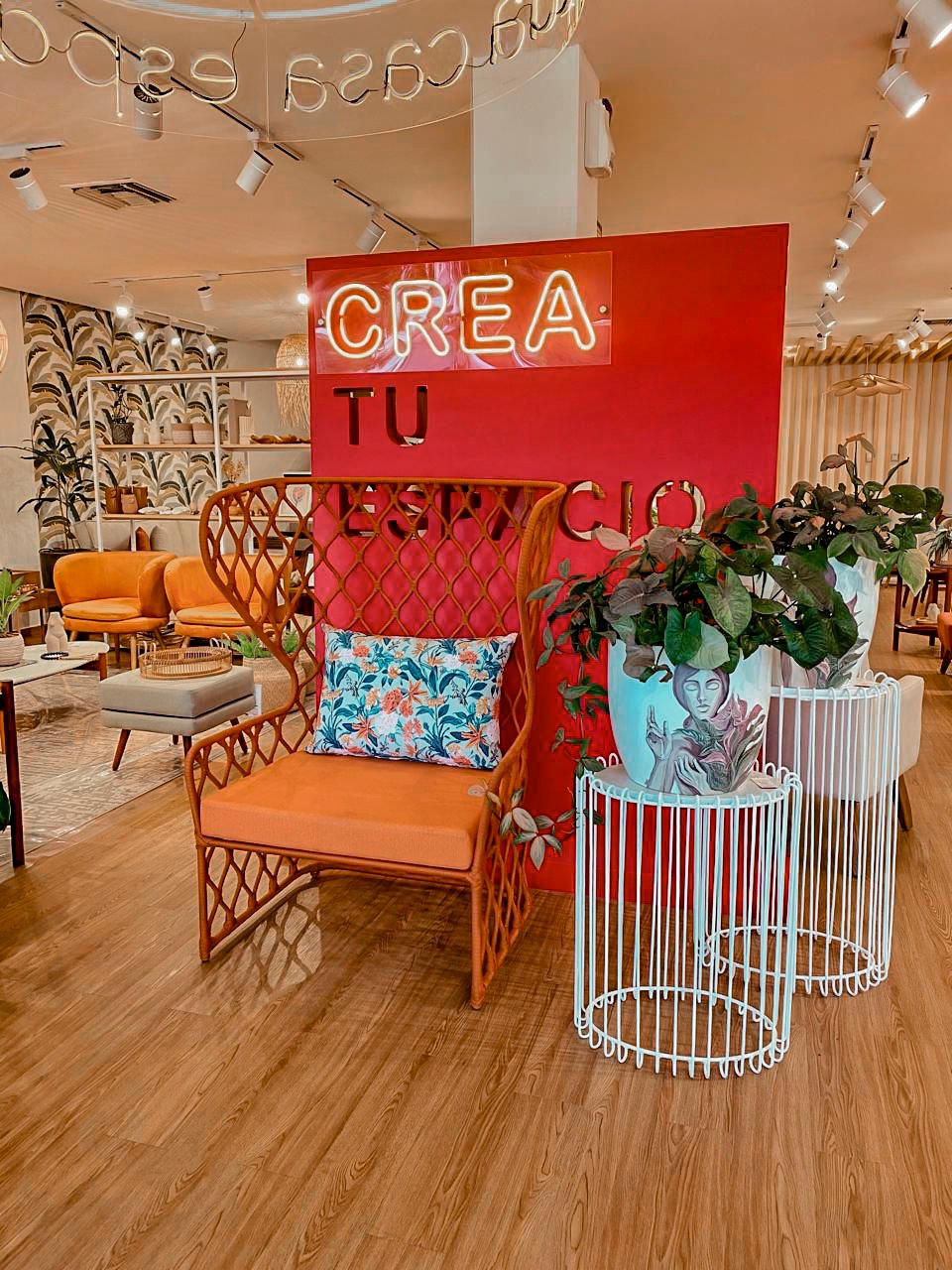 Painho-3 Poltrona Painho